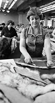 Goncharova: Furrier Goncharova