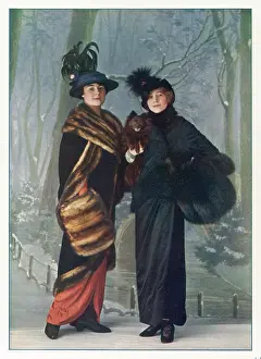 Sable: Furs - Grunwaldt