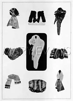 Grunwaldt: FURS/GRUNWALDT/ PLATE 11