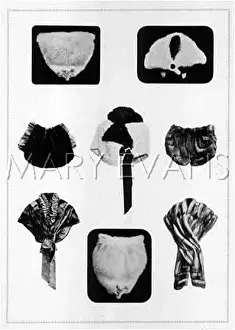 Grunwaldt: FURS/GRUNWALDT /PLATE 12