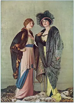 Brocade: FURS/GRUNWALDT/ PLATE 8