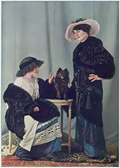 Grunwaldt: FURS/GRUNWALDT/ PLATE 9