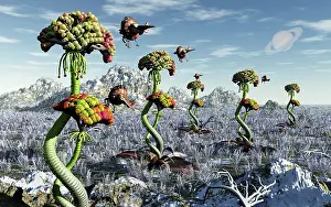 Collecting: A futuristic alien plant harvest