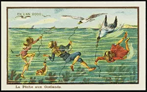 Trapping: Futuristic gull hunters