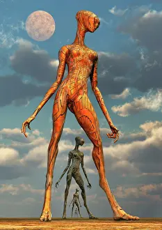 Anthropomorphic: Futuristic highly advanced alien biomechanical androids