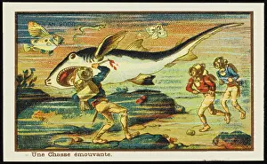 Stabbing: Futuristic shark hunt on the seabed