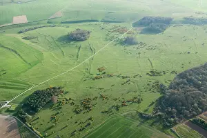 Fyfield: Fyfield Down, Wiltshire