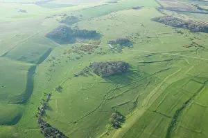 Trackway: Fyfield Down, Wiltshire