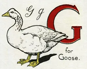 Deans: G for Goose