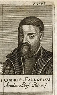 Gabriele: GABRIEL FALLOPIUS