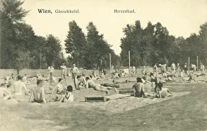 Gentlemens: Gaensehaeufel