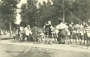 Gaensehaeufel: Gaensehaeufel