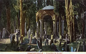 Cypresses: Galata Tower, Istanbul, Turkey