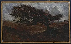 Gale: The gale, trees blowing in the wind