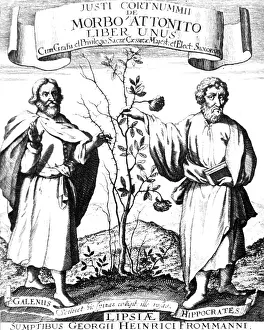 Gladiators: Galen and Hippocrates, Greek Physicians