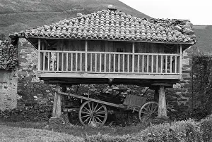 Granary: Galician granary - 01