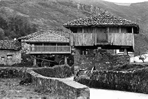 Granary: Galician granary - 02