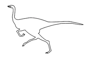 Phanerozoic: Gallimimus