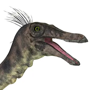 Ostrich: Gallimimus dinosaur head