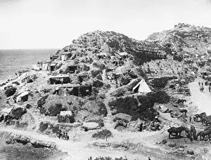 Gully: Gallipoli WWI