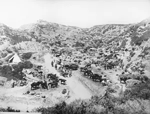 Gully: Gallipoli WWI