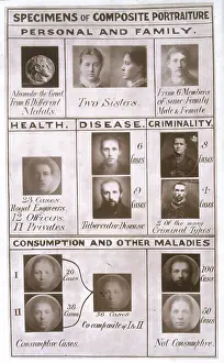 Galton: Galton's Portraiture