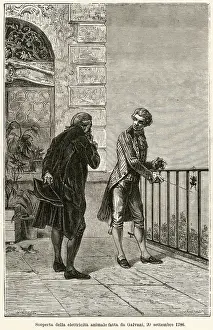Galvani: GALVANI AND FROG