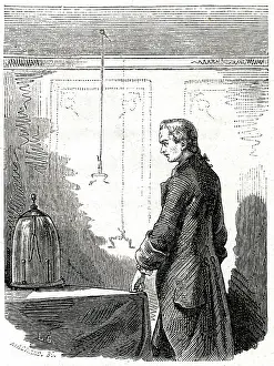 Galvani: GALVANI FROG EXP. 2