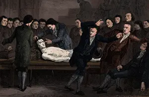 Contraction: Galvanic Experiments on Human Subject, 1818