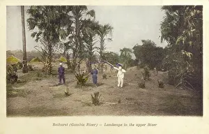 Bathurst: The Gambia - Bathurst (Gambia River)
