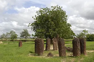 Monolith: THE GAMBIA. Wassu. Stone circles