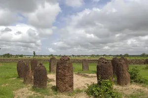 Monolith: THE GAMBIA. Wassu. Stone circles