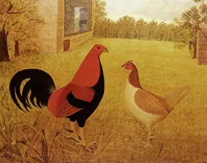 Hens: Game Cock and Hen
