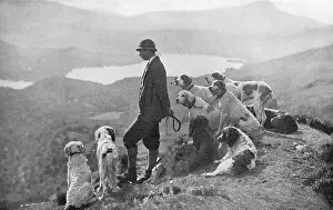 Aberfoyle: Game Keeper with dogs