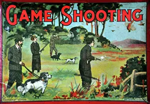 Pheasants: Game Shooting