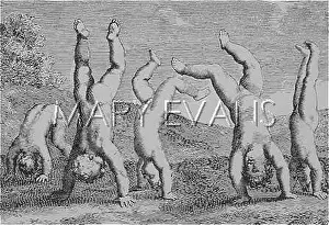 Handstands: GAME/STELLA/CULEBUTE