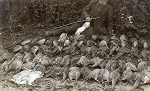 Gamekeeper: A gamekeeper and the bag of a day's shooting