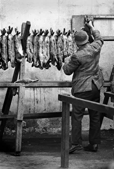 Bunnies: Gamekeeper with rabbits