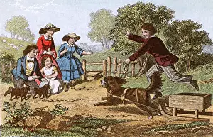 Energetic: GAMES/OUTDOOR/DOG SLEIGH