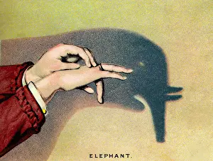 Outlines: games, shadow play, shadow of an elephant, Germany