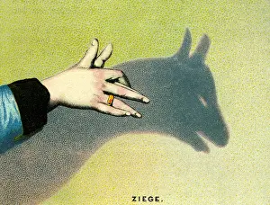 Outlines: games, shadow play, shadow of an goat, Germany