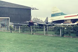 Gannet: Gannet at Yeovilton