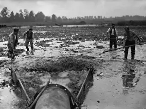 Sewage: Garbage utilization in agriculture, 1934