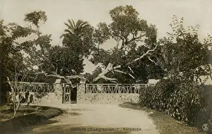 Entrances: Garden in Al-Matariyyah, Cairo