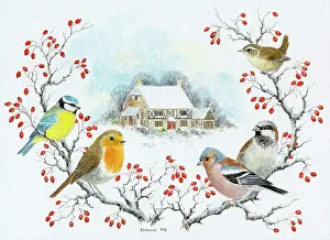 Snowscene: Garden Birds in Winter ' blue tit, robin, etc