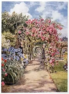 Pergola: GARDEN/BRANTWOOD 1908