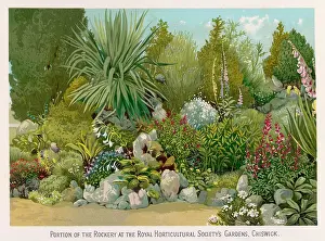 Horticultural: GARDEN/CHISWICK RHS