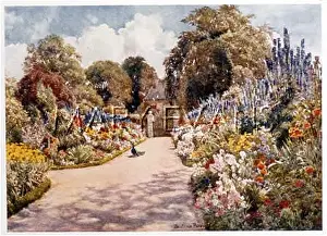 Downes: GARDEN/DINGLEY PARK