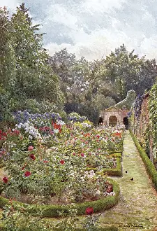 Flowerbeds: GARDEN/DRAKELOWE 1908