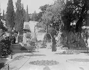 Prayed: THE GARDEN OF GETHSEMANE